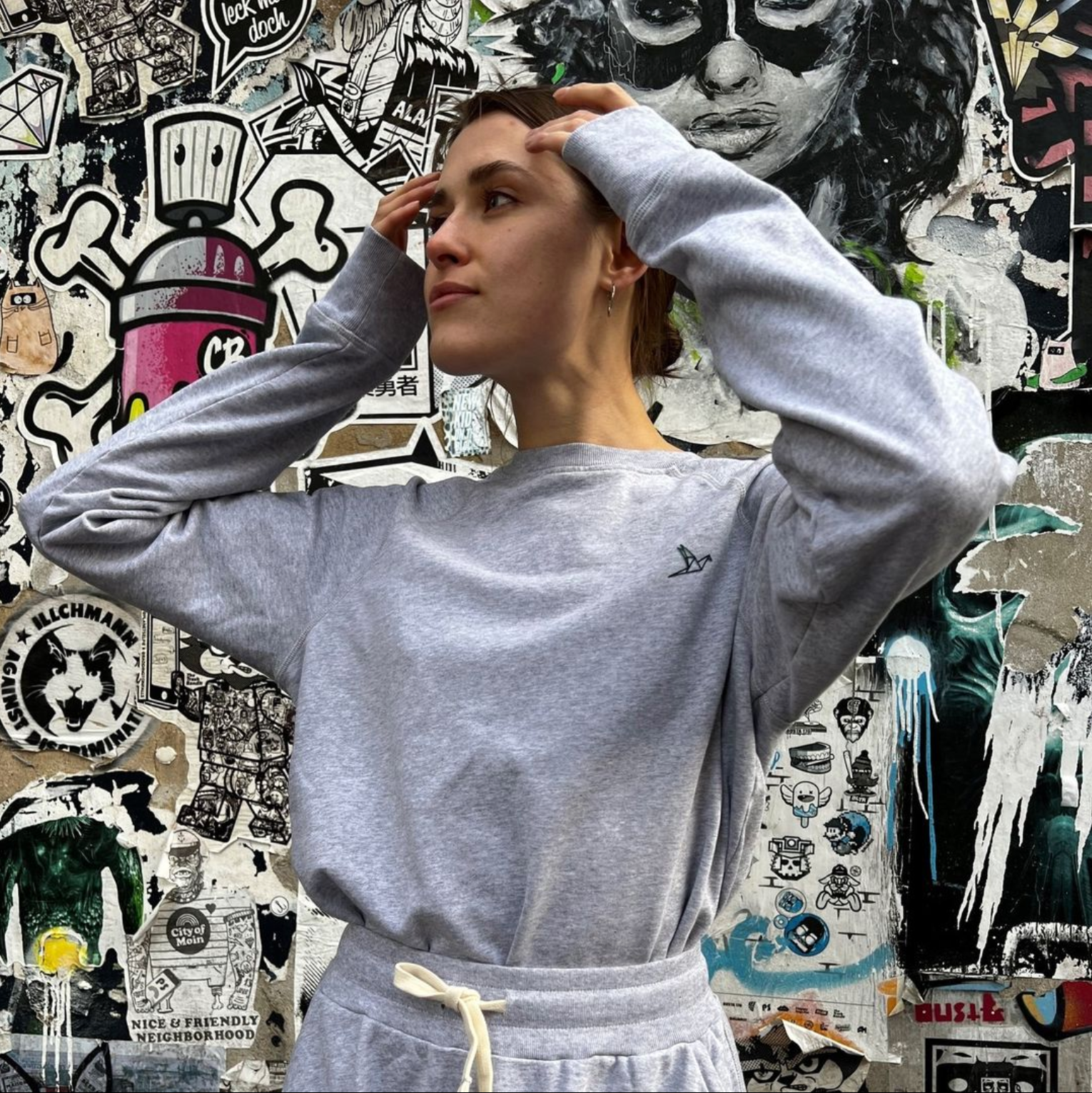 Alt Image